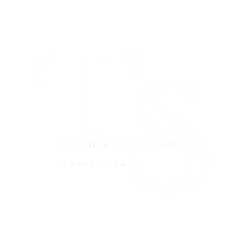 TS STRATEGY & MANAGEMENT CONSULTING